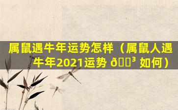 属鼠遇牛年运势怎样（属鼠人遇牛年2021运势 🌳 如何）